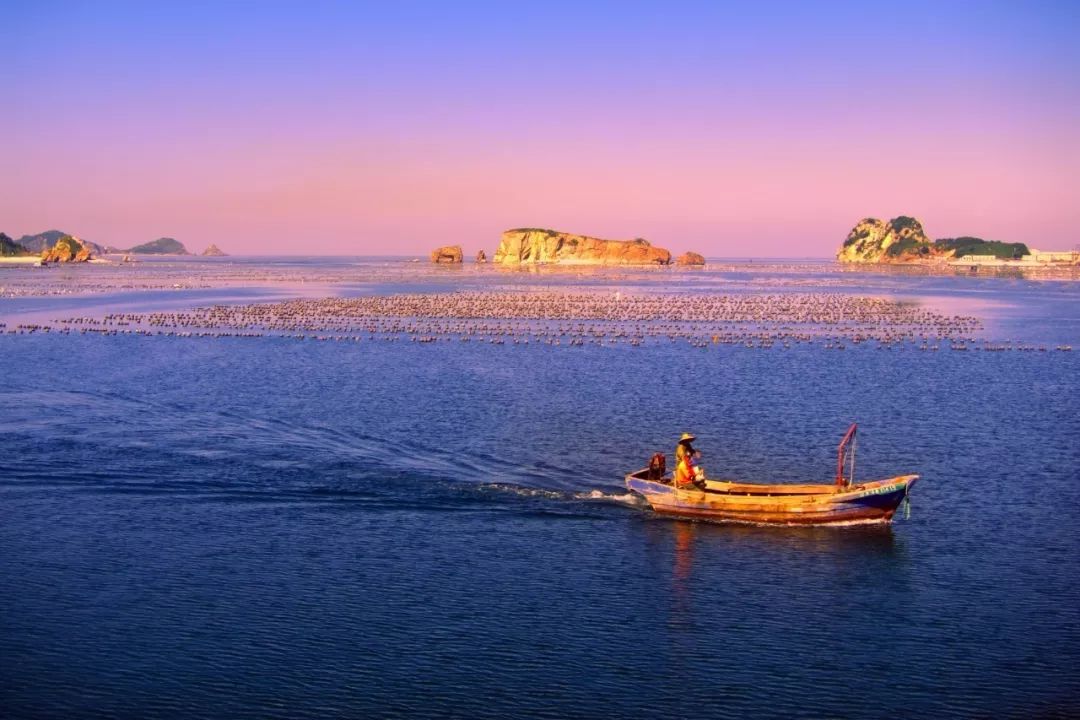 辽宁小巷深处的秘密花园，探寻隐匿的特色小店
