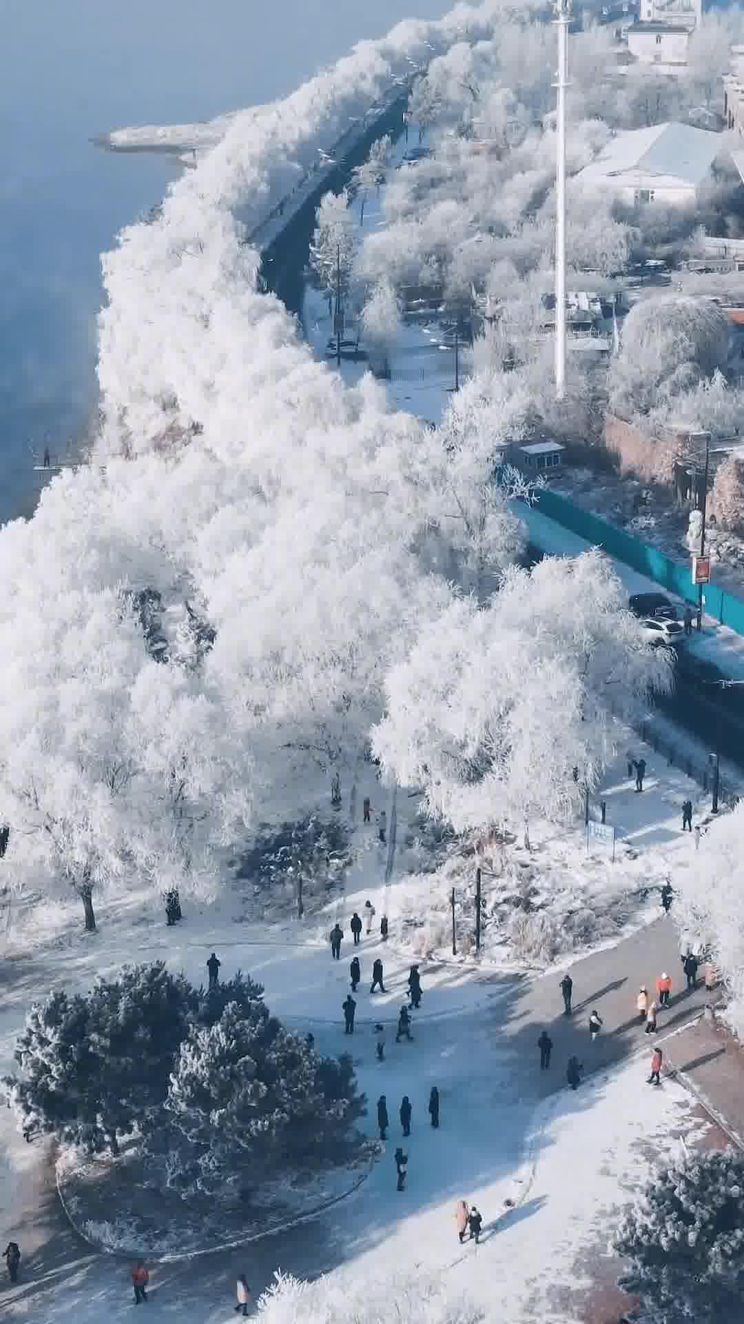 吉林之韵,美丽家园的深情呼唤