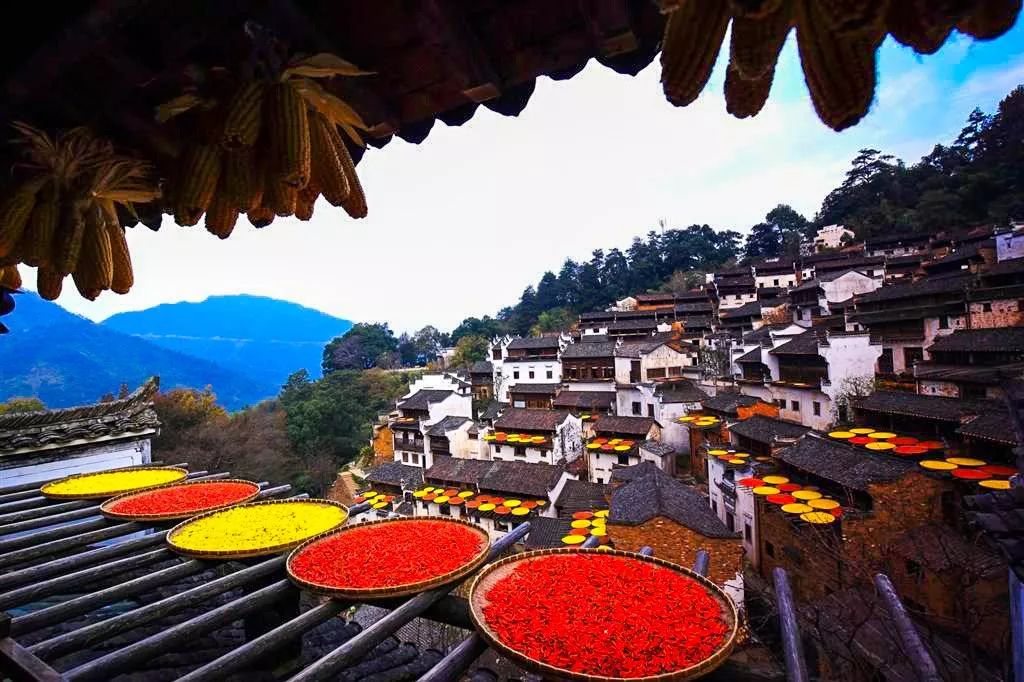 江西之光，学习变化的力量与自信的征程之旅
