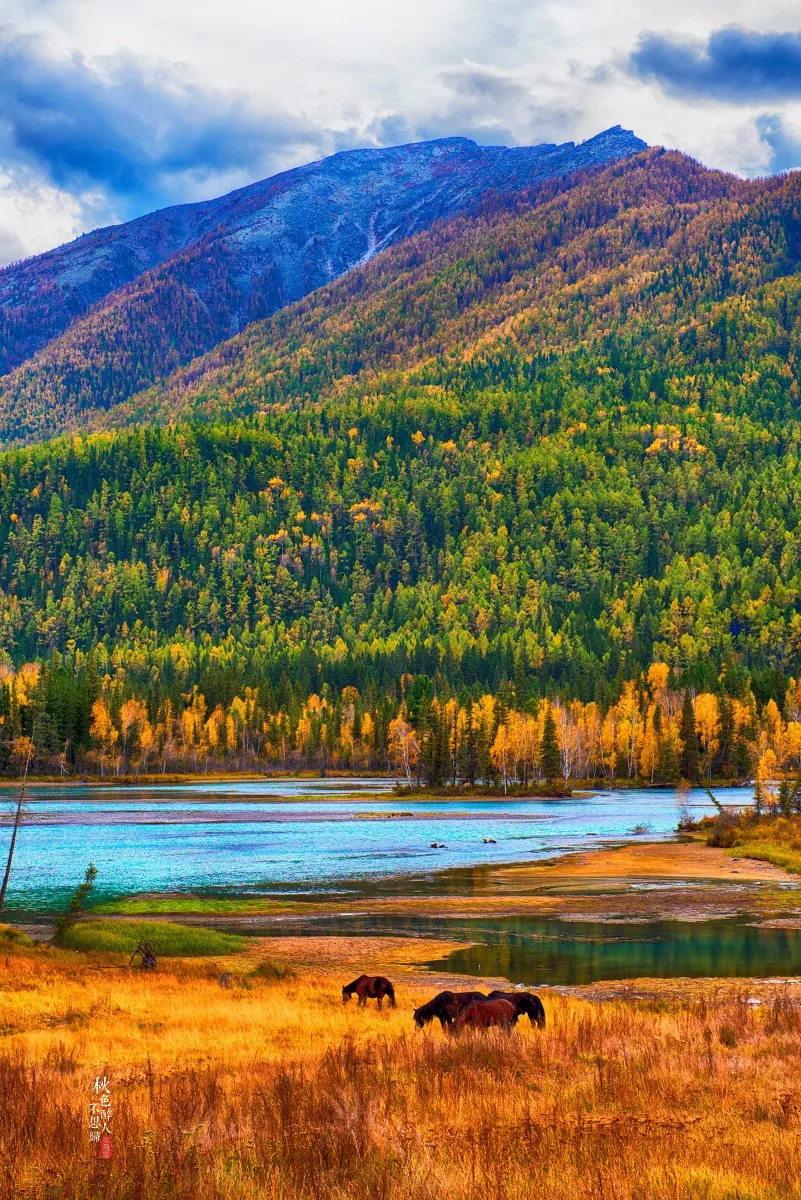 新疆之美，大美无疆的播音稿篇章